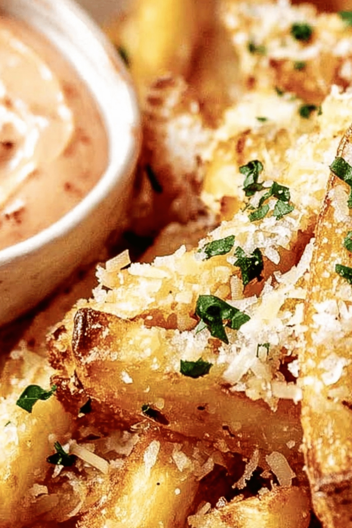 Air Fryer Garlic Parmesan French Fries crispy golden fries topped with garlic and parmesan