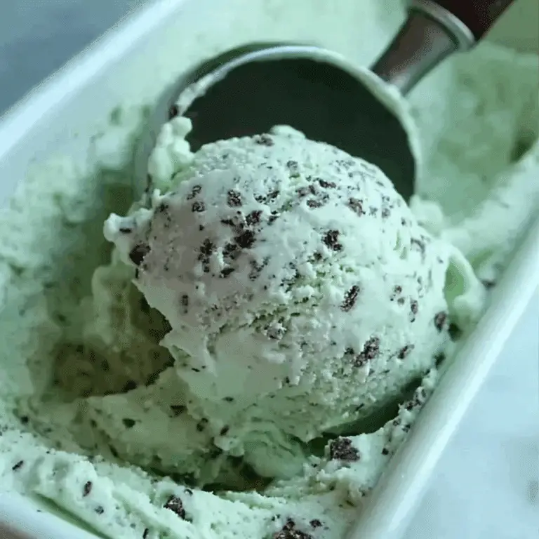 Mint Chocolate Chip Ice Cream Recipe – Easy & Creamy