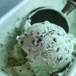 Mint Chocolate Chip Ice Cream in a bowl with chocolate chunks