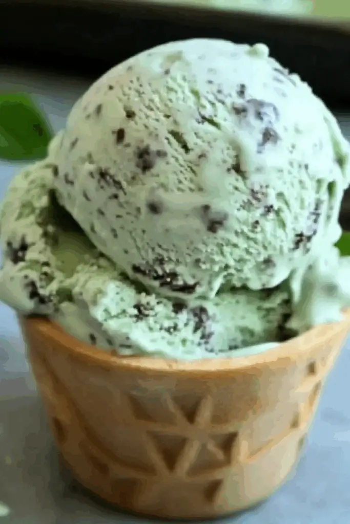 Mint Chocolate Chip Ice Cream in a bowl with chocolate chunks