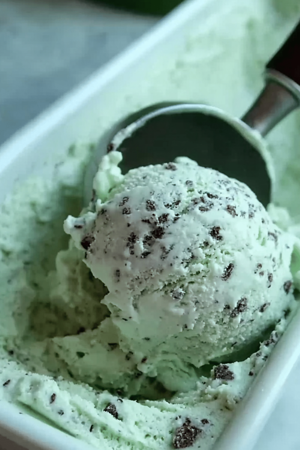 Mint Chocolate Chip Ice Cream in a bowl with chocolate chunks