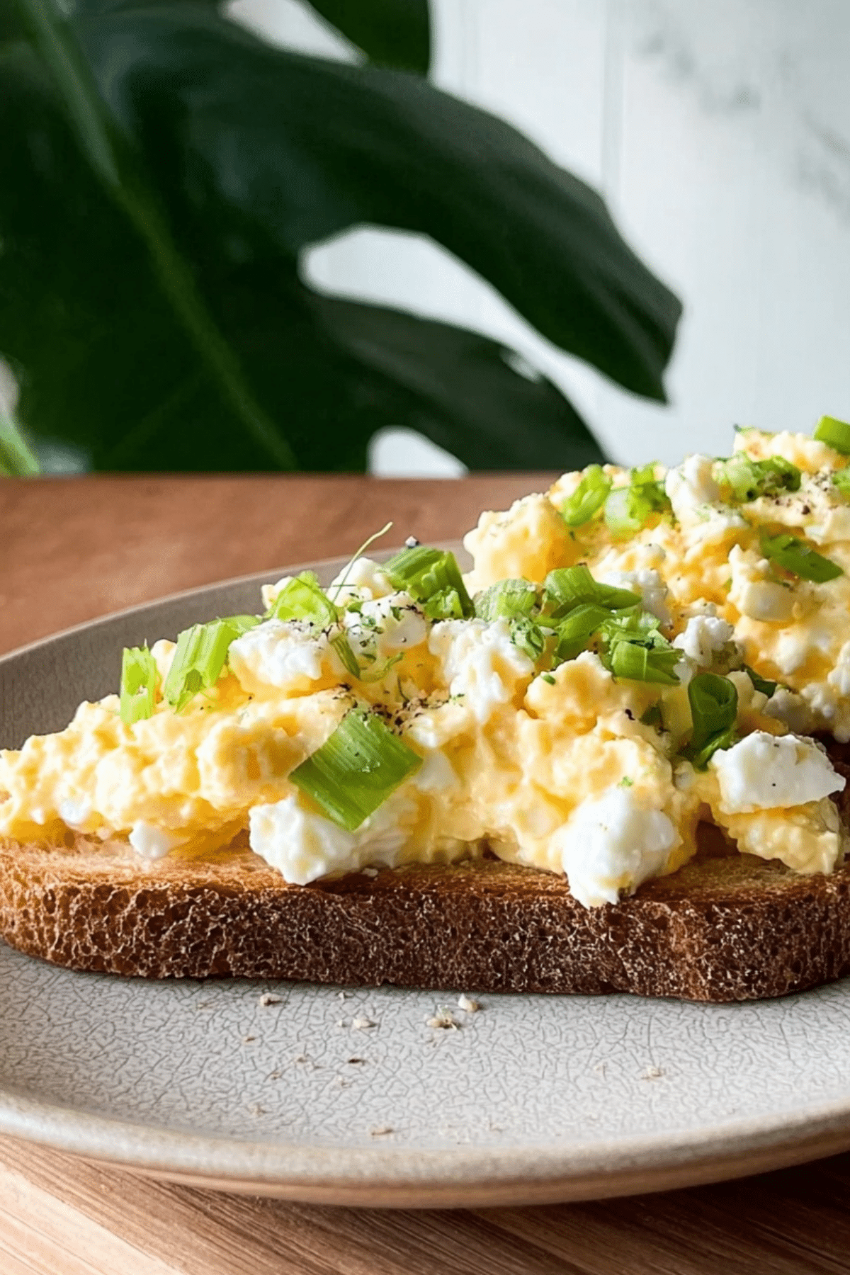 Egg Salad with Cottage Cheese served on sourdough bread