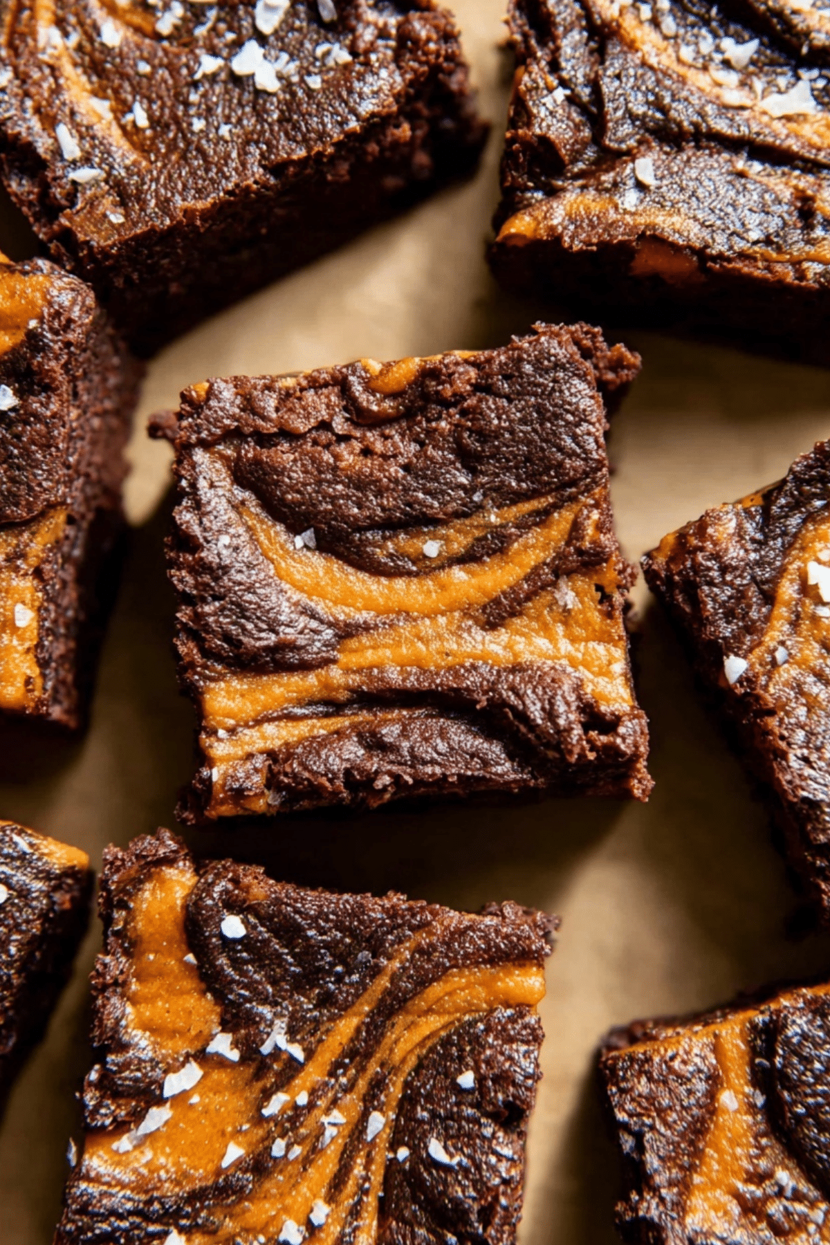 Pumpkin Brownies - Rich chocolate brownies with pumpkin flavor