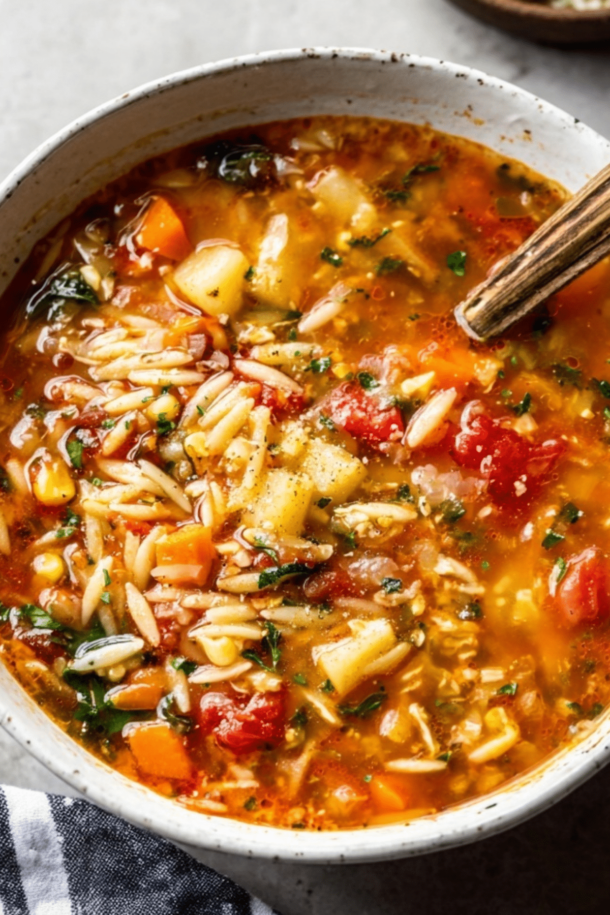Vegetable Orzo Soup Recipe – Hearty & Flavorful Comfort