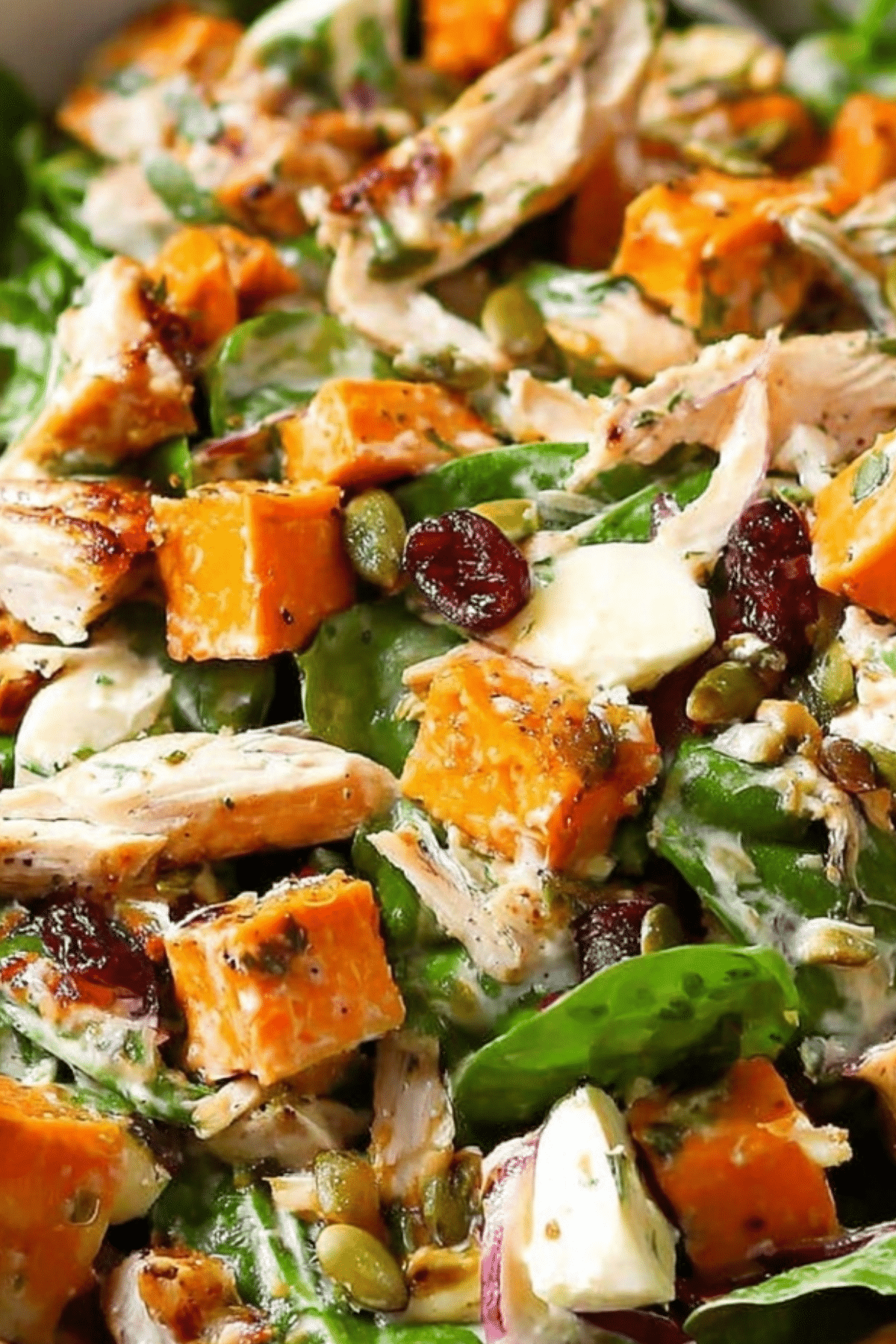 harvest chicken sweet potato salad with orange vinaigrette