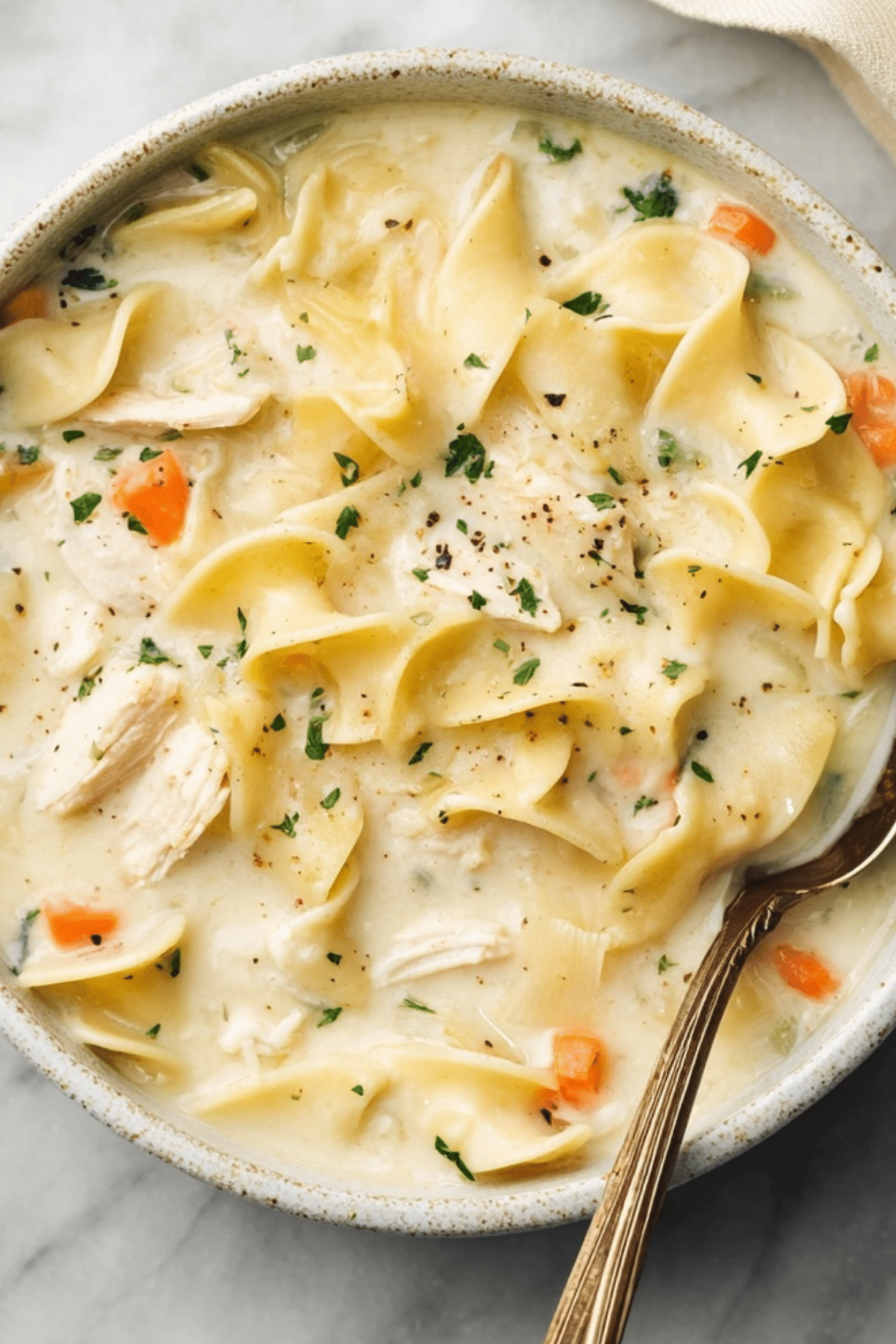 creamy chicken noodle soup in a bowl